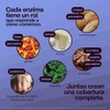 Enzimas Digestivas y Probióticos 3 en 1, 120 Cápsulas Nutrabasics