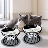 2PCS Ceramic Elevated Cat Bowls, Raised Cat Food Bowl Whisker