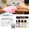 レック ハンディモップ ささっとハンディ NEOピンクS-578