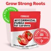 Granular Mycorrhizal Fungi for Garden Plants – Microbial Supplement for