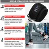 Ankle Straps for Cable Machines Attachment – Neoprene Padded Gym