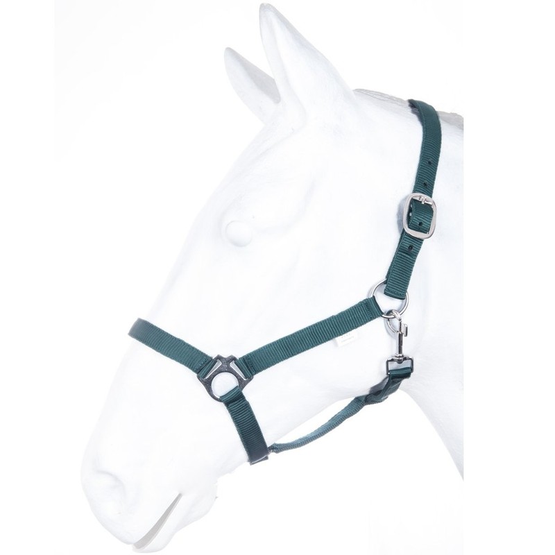 HKM by Reiterladen24 Basicline Headcollar Dark Green Shetty