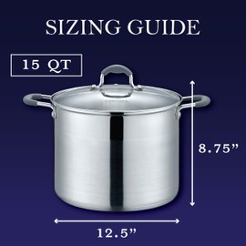 CONCORD Stainless Steel Stock Pot with Glass Lid (Induction Compatible) (15)