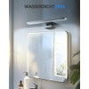 Hommie Hommie LED Spiegelleuchte Bad mit Schalter 30CM 5W 6000K