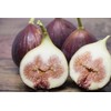 Boiled Fig with Honeydew