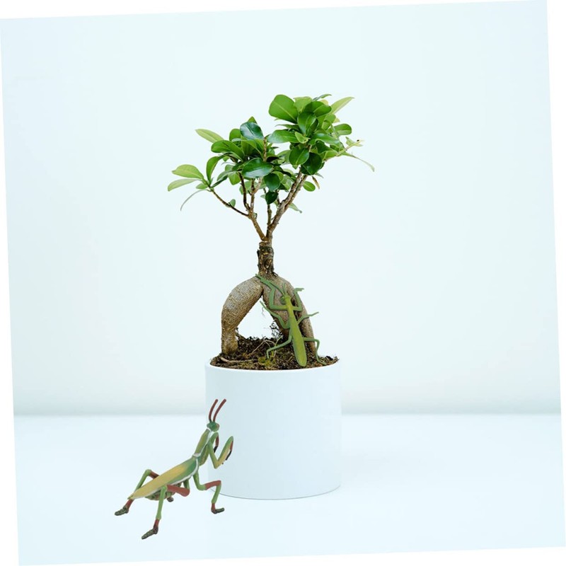GOOHOCHY Mantis Figurine Giant Mantis Model for Boys and Girls