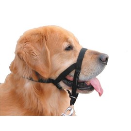Nobby Easy Leader Harness for Dog, Size 2, Black