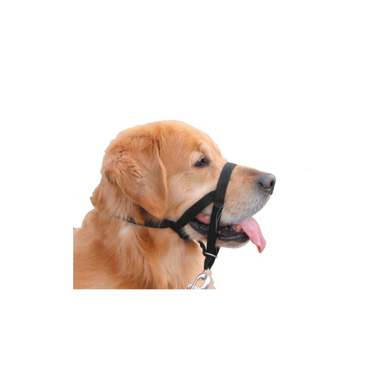 Nobby Easy Leader Harness for Dog, Size 2, Black