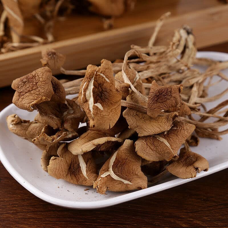 250g/bag Chinese Herbal Agrocybe Cylindracea New Ecology Dried Tea Tree