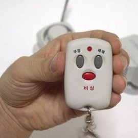 AM Remote Control RC-200 Security Package Optional Item