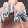 Whats Up Nails - Spring Stamping Plates 2 pack (B017,