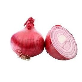 Onion Red Burgundy Great Heirloom Garden Vegetable Seeds by Seed Kingdom (200 Seeds)