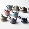 Banko Ware 18365 Teapot, Hanakado, For 2 People, Capacity: Approx.