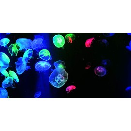 VIP.LINE Jellyfish Aquarium Background Poster PVC Fish Tank Decorations Landscape