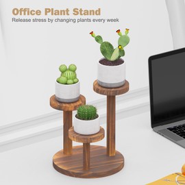 3 Tier Table Top Plant Stand Wooden Round,Small Window Sill Plant Shelf Indoor,Mini Desk Flower Succulent Stand Holder Rack,Little Display Stand for Desktop,Windowsill,Countertop,Kitchen,Oil Painting