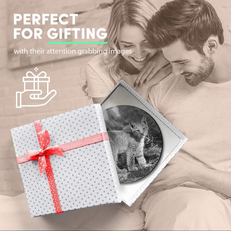 1 x Round MDF Magnet - Cute Lynx Cub Kitten