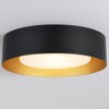 Mivenda Modern Flush Mount Ceiling Light