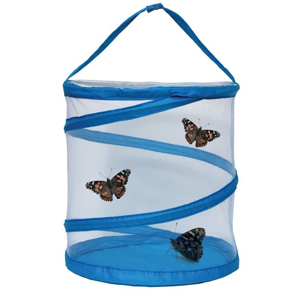 Living Wonders Butterfly Experience Kit with 10 Live Caterpillars