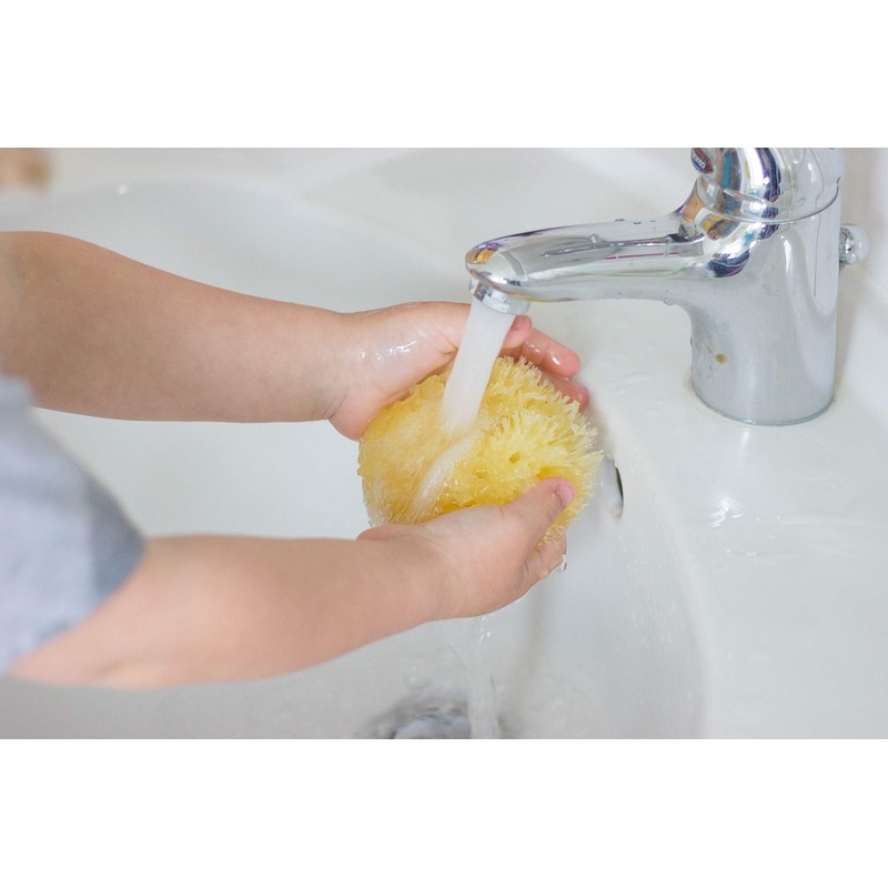 Rotho Babydesign Mediterranean Sponge, Natural Product, Diameter: 9-10 cm, Yellow