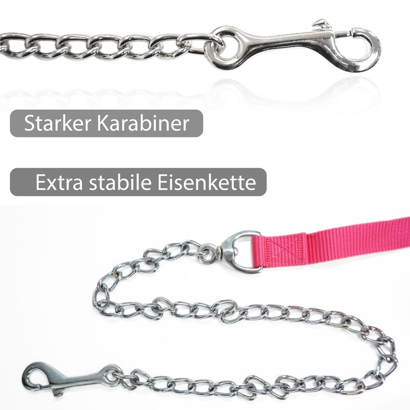 Horses Guide Chain | Safe Guide with Iron Chain &