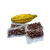 Organic Cocoa Seeds, Cacao Seeds, Theobroma cacao 50 Seeds Pack
