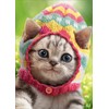 Kitten Wears Knit Egg Cap - Avanti Cute Cat Easter