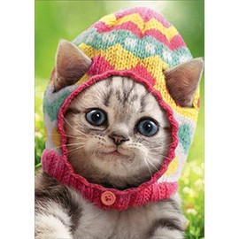 Kitten Wears Knit Egg Cap - Avanti Cute Cat Easter Card (Greeting Card)