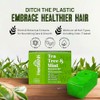 Shampoo and conditioner (Arbol de Te y Menta, Shampoo Bar)