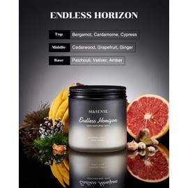 M&SENSE Cedar Ginger Men Scented Candles, 11.6oz 2 Wick All Natural Soy Wax Clean Non Toxic Gift for Men, Masculine Black Highly Scented Candle Home Fragrance Holiday Gift for Him