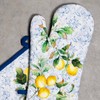 Maison d' Hermine 100% Cotton Oven Mitt & Pot Holder