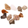 VILLFUL Teaching Rocks 10pcs Mineral Rock Specimen Set for Geology
