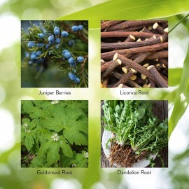 Nature's Sunshine Pro-pancreas 100caps Sabor Sin sabor