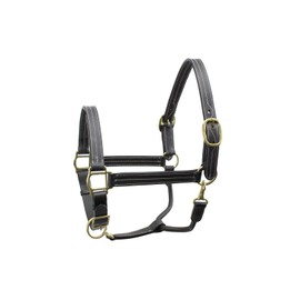 Derby Originals Triple Stitched Double Layer Premium Leather Adjustable Horse Halter with Throat Snap for Easy Taking Off (Dark Brown, Cob/Arab)