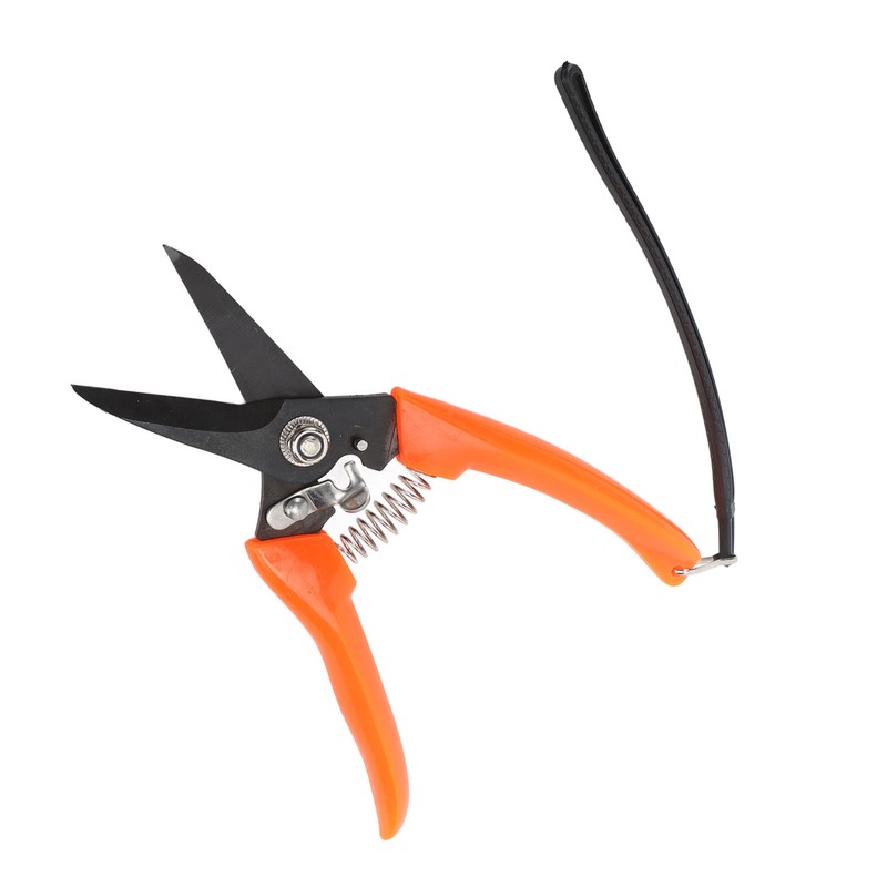 Hoof Shear Red Stainless Steel High Carbon Steel Multifunctional Hoof