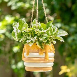 Walasis Bee Decor Hanging Planter: 3.9 Inch Opening Cute Flower Pot with Drainage - Ceramic Honey Plant Pot for Indoor Outdoor Garden Kitchen Bathroom