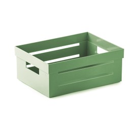 Snips Cassetta Multiuso, Organizer Multiuso, Contenitore Multiuso 2 LT, Colore Verde, 20 x 15 x 8,5 cm, Made in Italy