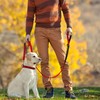 Double Handle Walking/Traffic Air Mesh Leash