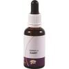 Living Essences of Clarity Essential Oil 30 ml
