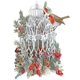 PAPER D'ART - CHRISTMAS FLOWER CAGE - 3D POP UP CHRISTMAS CARD – X3D036