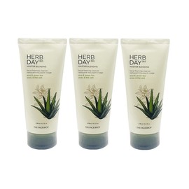 The Face Shop Herb Day Facial Cleansing Foam Aloe 170ml x 3 / 더페이스샵 허브데이 페이셜 클렌징폼 알로에 170ml x 3