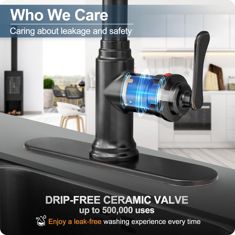 HOIGY Oil Rubbed Bronze Bar Sink Faucet Single Hole or