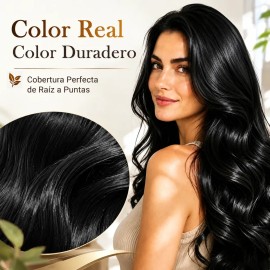 Shampoo Tinte Cubre Canas Ginseng Color Natural Hombre/mujer
