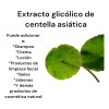 Extracto Glicolico Centella Asiatica Uso Cosmetico De 120 Ml
