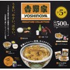 Yoshinoya Miniature Collection, Set of 5 Types