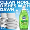Dawn Ultra Antibacterial Hand Soap Apple Blossom Scent Dishwashing Liquid