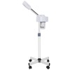 Segawe Professional Spa Beauty Equipment Facial Steamer Skin Care Ozone