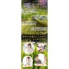 Honjien Tea Japanese Tea Powdered Green Tea from Kagoshima, Large