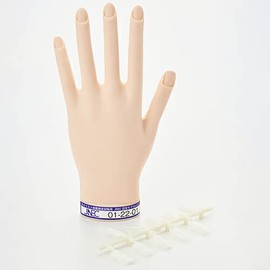 ST Model Hand Left Hand (JNEC 1st Certified Model Hand)
