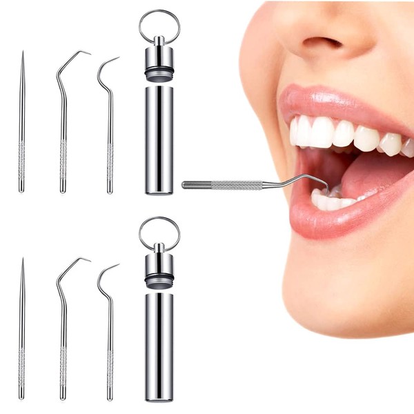 2PCS Stainless Steel Toothpicks Reusable Cleaning Tooth Hook Metal Toothpicks
