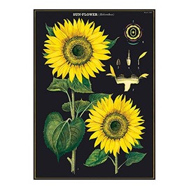 Cavallini Decorative Wrap Poster, Sunflower, 20 x 28 inch Italian Archival Paper (WRAP/SUNFLR)